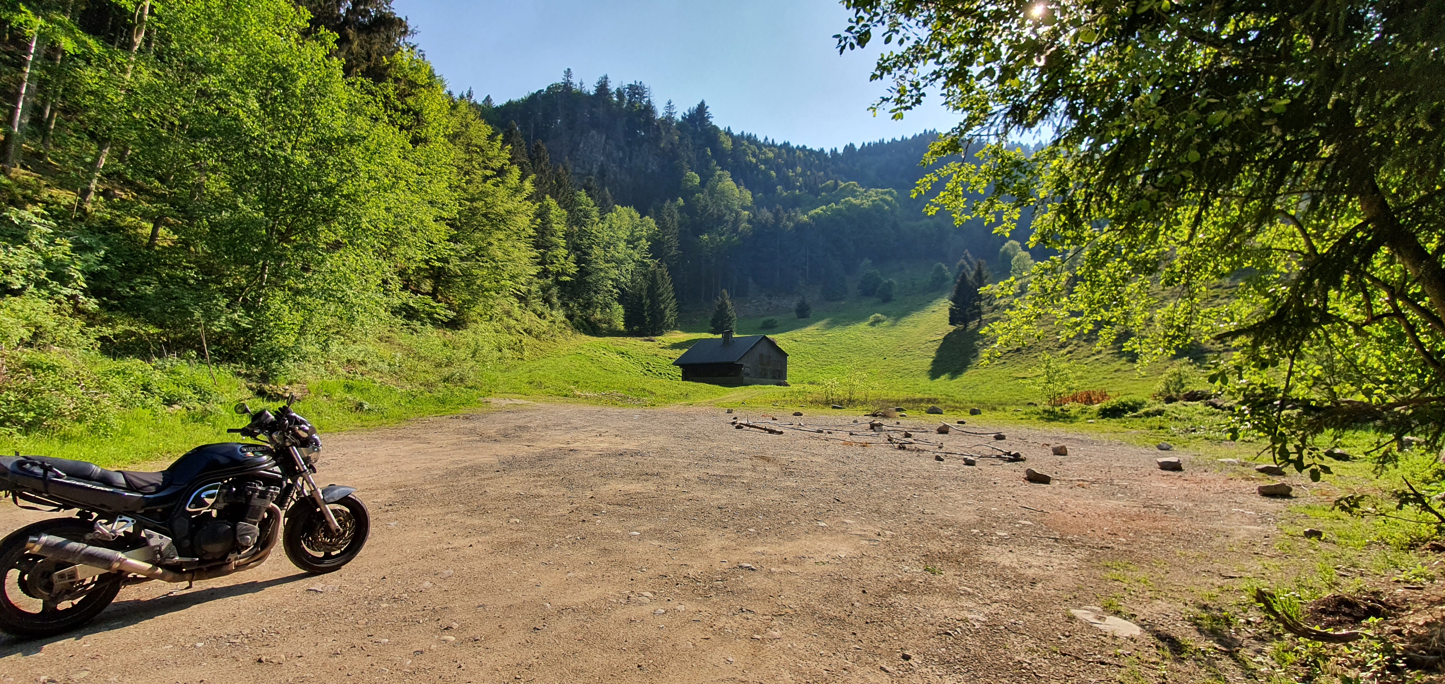 schwarzwald